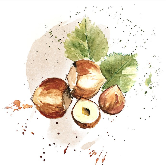 Shockino_Nocciole_Giffoni_illustrazione
